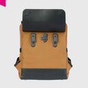 Urban Bikepack Toffee Rueckseite mit Rixen Kaul Befestigung
